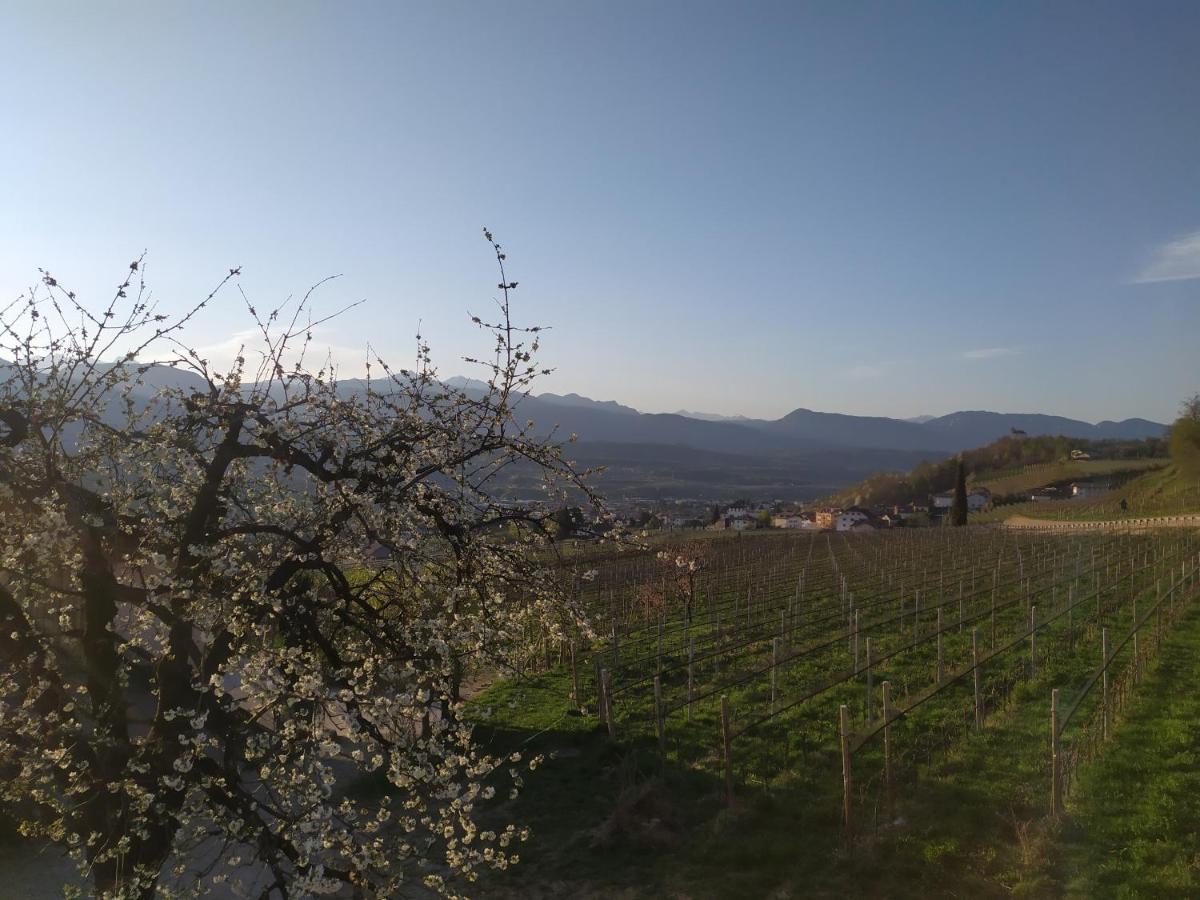 Ferienwohnung Weingut Lahn zu Eppan Eppan an der Weinstraße Exterior foto